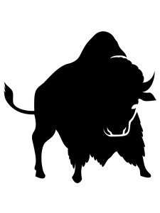 Bison Stencil 11