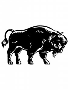 Bison Stencil 13