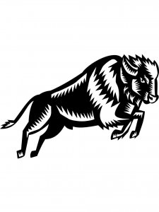 Bison Stencil 4