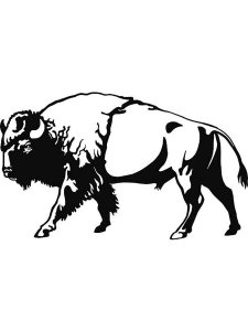Bison Stencil 9