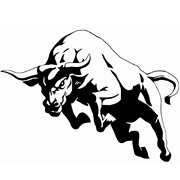Bull stencils