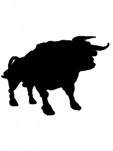Bull Stencil 12