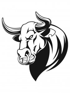 Bull Stencil 14