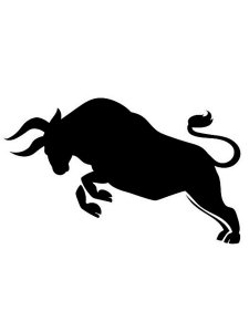 Bull Stencil 5