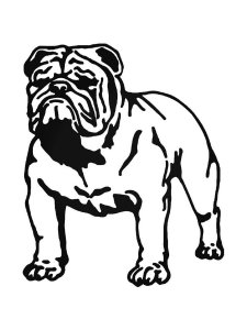 Bulldog Stencil 1