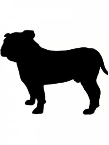 Bulldog Stencil 11