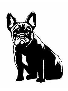 Bulldog Stencil 12