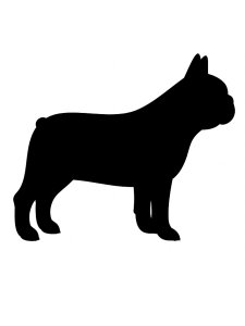 Bulldog Stencil 13