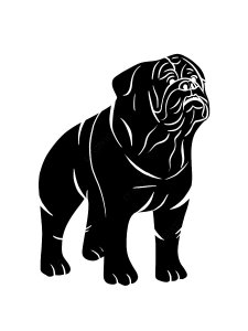 Bulldog Stencil 14