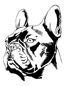 Bulldog Stencil 2