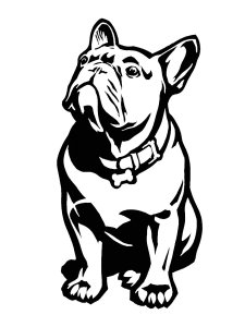Bulldog Stencil 3