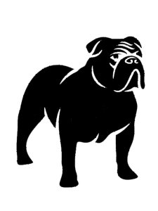Bulldog Stencil 7
