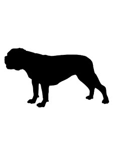 Bulldog Stencil 9