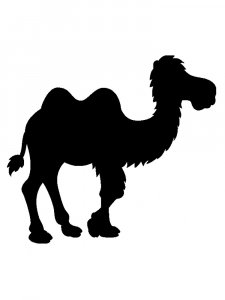 Camel Stencils 12