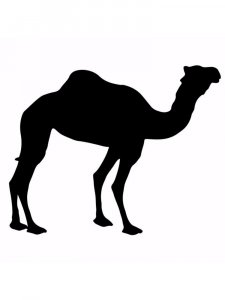 Camel Stencils 5
