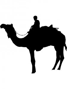 Camel Stencils 7