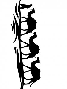 Camel Stencils 9