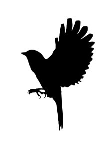 Canary Stencil 2