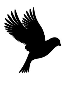 Canary Stencil 3