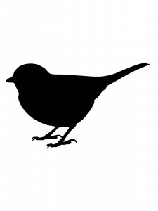 Canary Stencil 4
