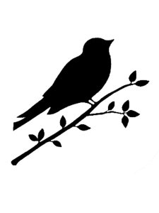Canary Stencil 5