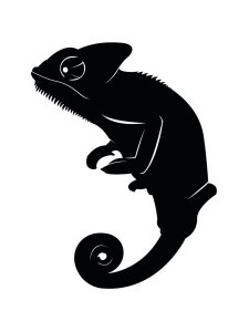 Chameleon Stencil 1