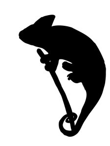 Chameleon Stencil 2