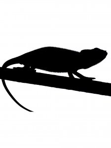Chameleon Stencil 4