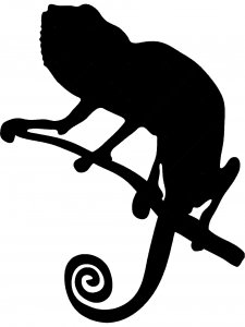 Chameleon Stencil 6