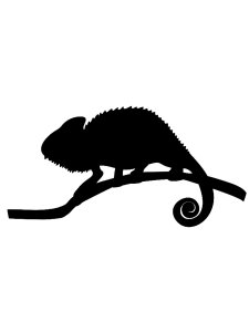 Chameleon Stencil 7