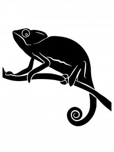 Chameleon Stencil 8