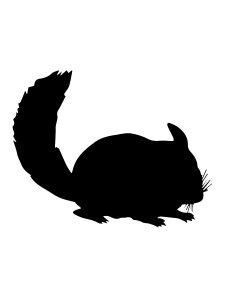 Chinchilla Stencil 1