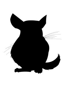 Chinchilla Stencil 2