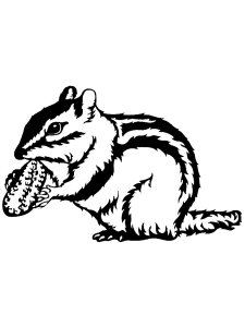 Chipmunk Stencil 4