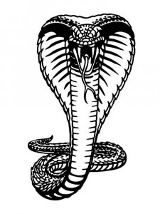 Cobra Stencil 11