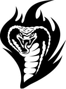 Cobra Stencil 13