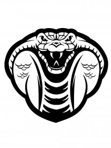 Cobra Stencil 15