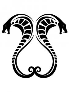 Cobra Stencil 19