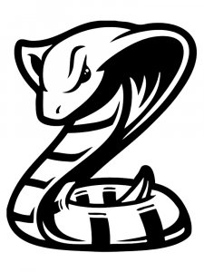 Cobra Stencil 20