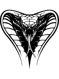 Cobra Stencil 21