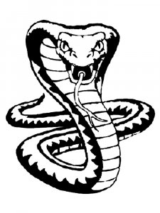 Cobra Stencil 4