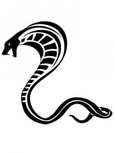 Cobra Stencil 6
