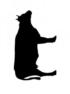 Cow Stencils 4