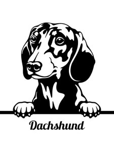 Dachshund Stencil 6