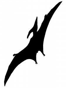 Dinosaur Stencil 37