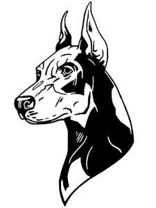 Doberman Stencil 13