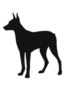 Doberman Stencil 15