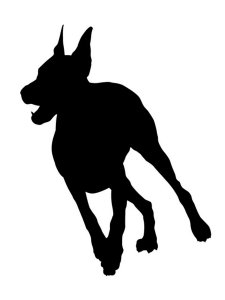 Doberman Stencil 8