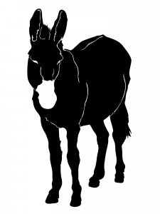 Donkey Stencil 2