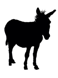 Donkey Stencil 7